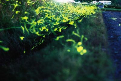 070521_04e1.jpg